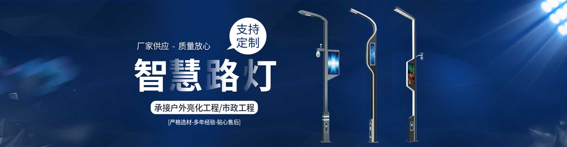 谢家集区太阳能路灯定制厂家
