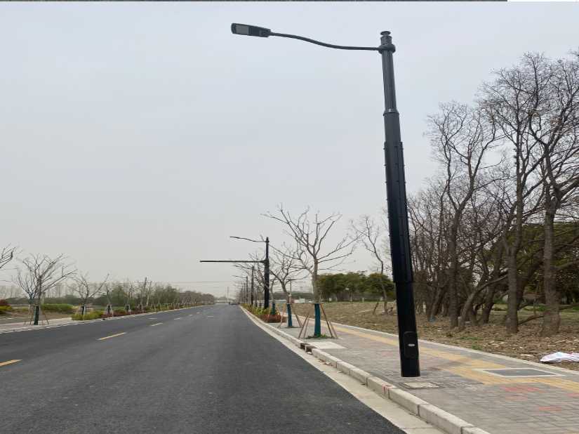 谢家集区上海综合杆 太阳能路灯工程